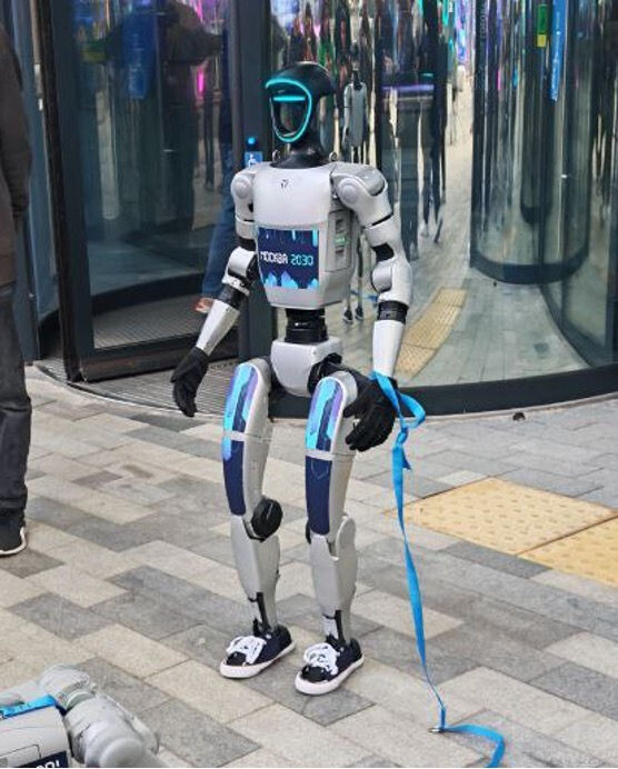 аренда робота человека