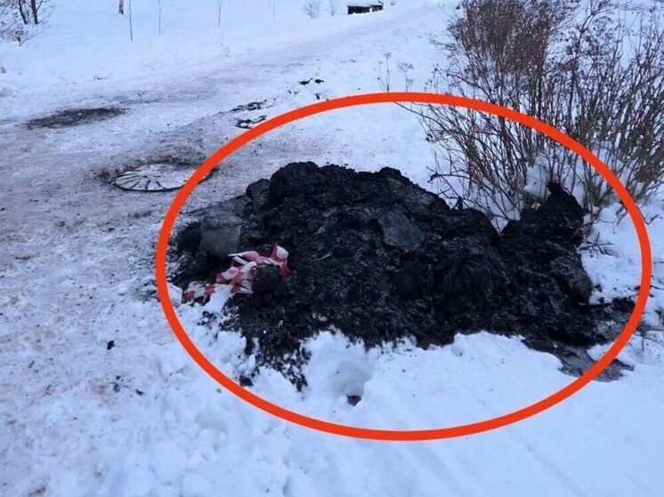     Затор может вызвать полную остановку работы системы, создав жителям округа серьёзные проблемы. Фото: telegram-канал главы Старорусского муниципального округа Елены Комаровой