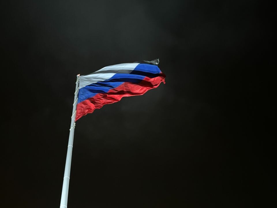    Флаг России. Источник: Екатерина Жолнерова