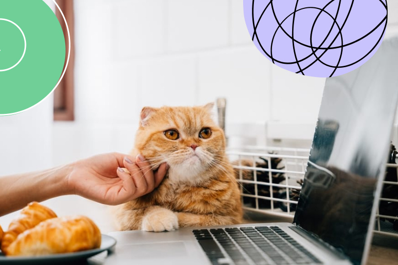 Работникам, которые пропускают обед, пригрозили дисциплинарными взысканиями