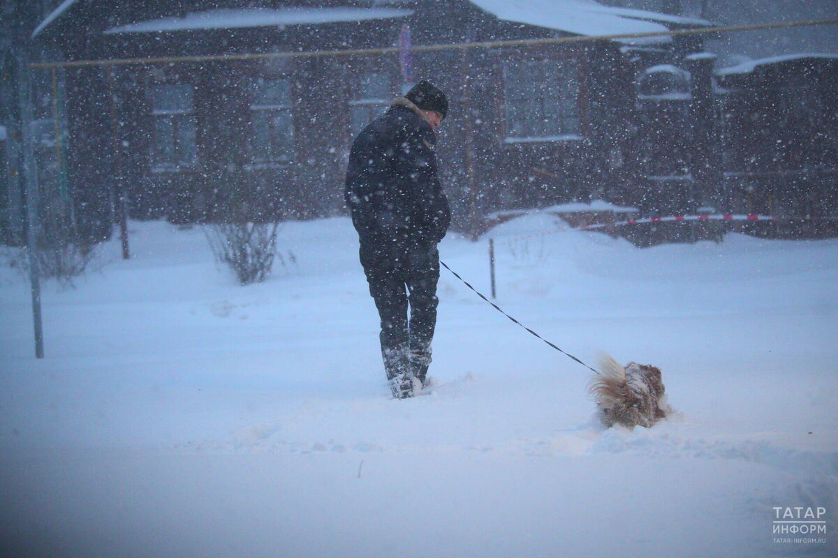 Фото: © Михаил Захаров / «Татар-информ»