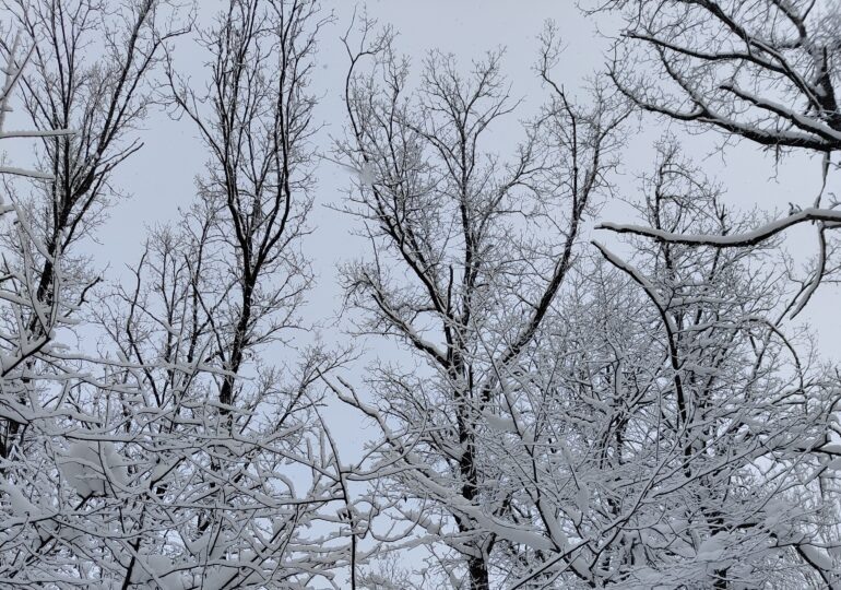 Фото: Самара-ГИС