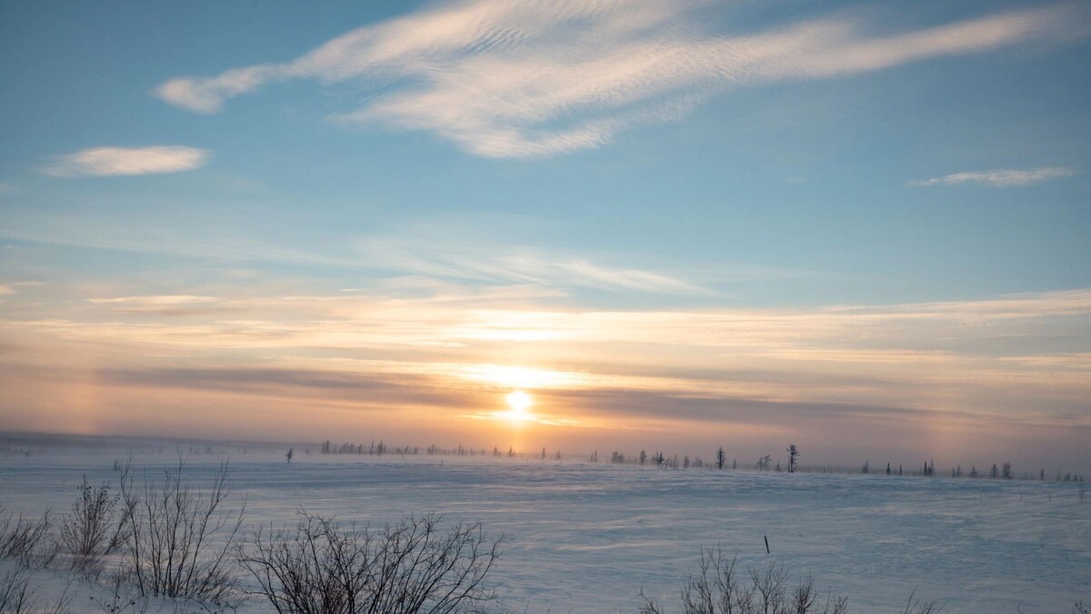    Фото: Сергей Зубков / «Ямал-Медиа»