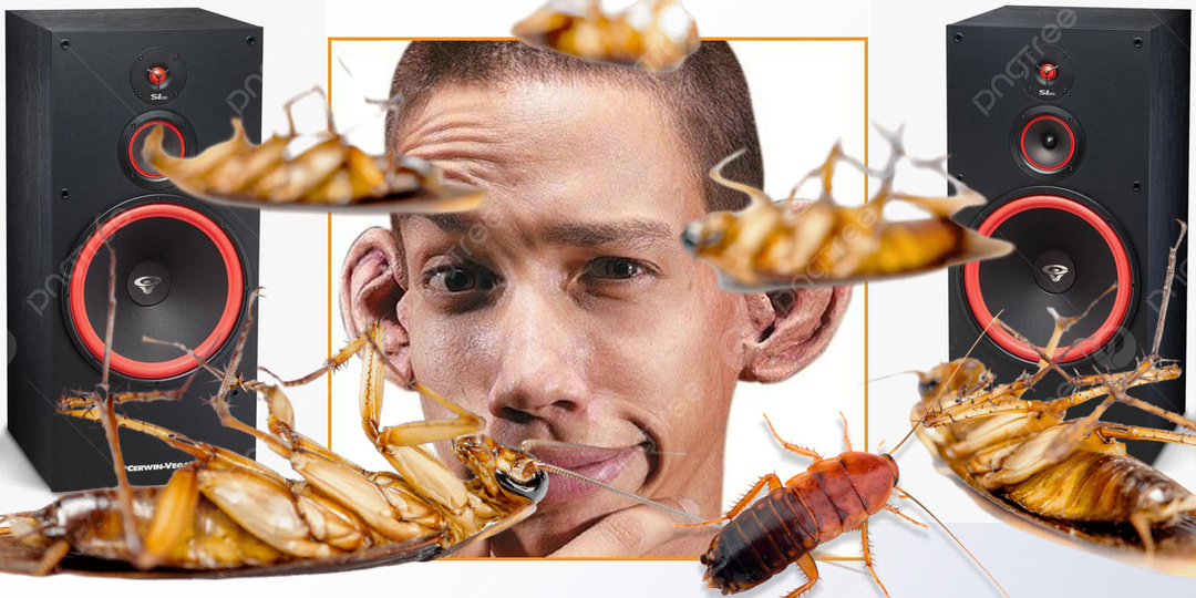 Записки энтомолога или о тараканах, обитающих в некоторых аудиофильских головах