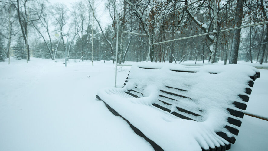    Фото: KazanFirst