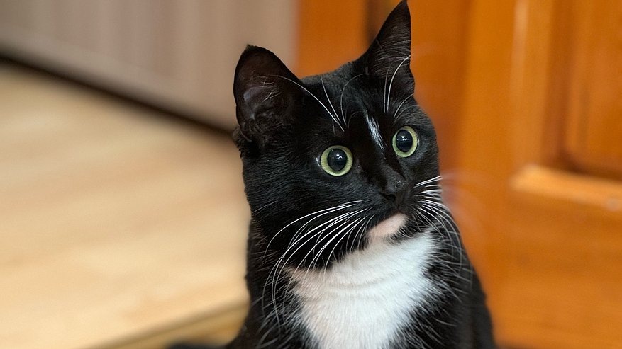 Фото из Интернета. 