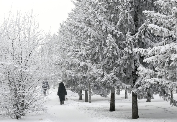 Фото: РИА Новости/Илья Наймушин