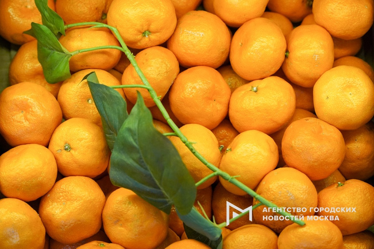 Фотограф: Александр Авилов