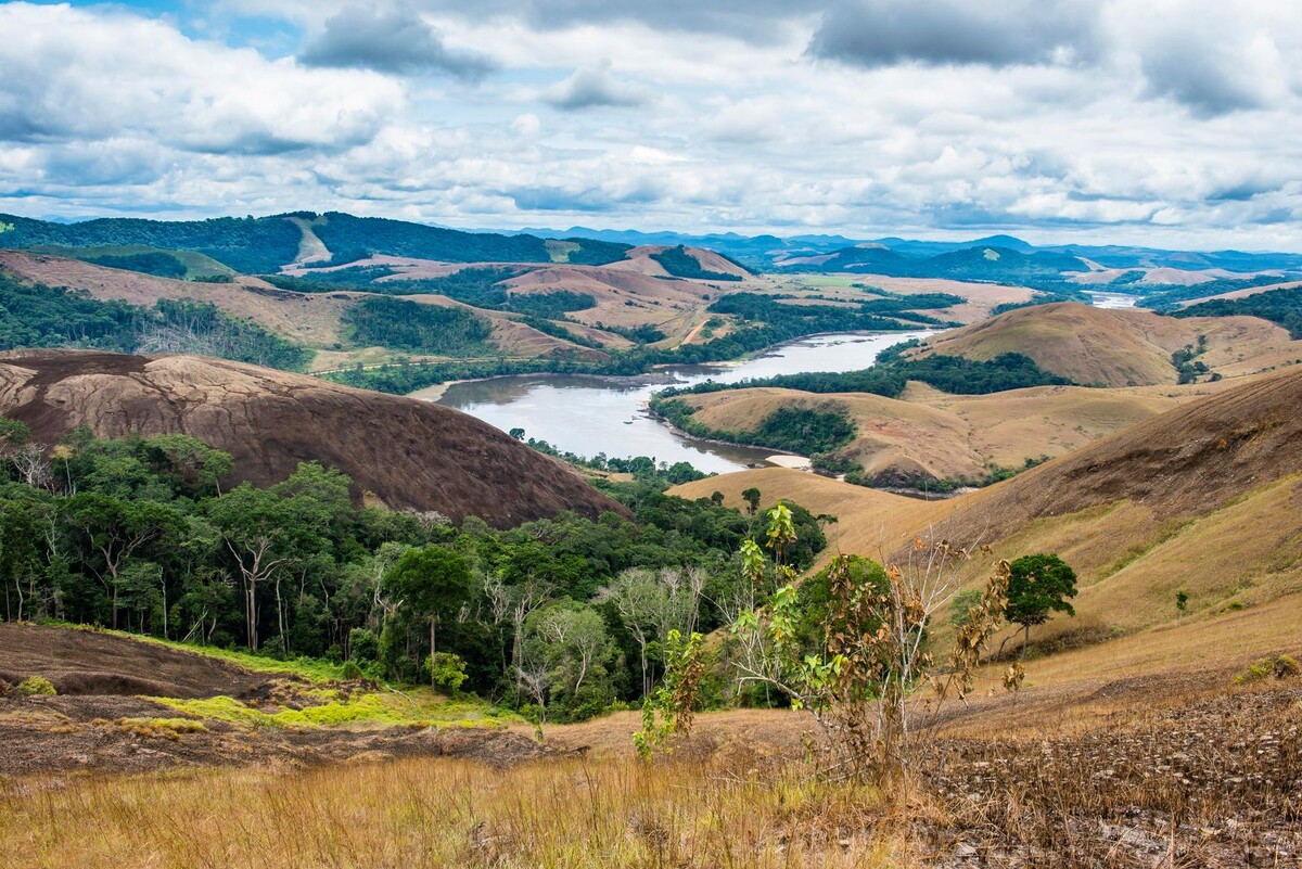 Фото взято здесь: https://gog.su/Gabon