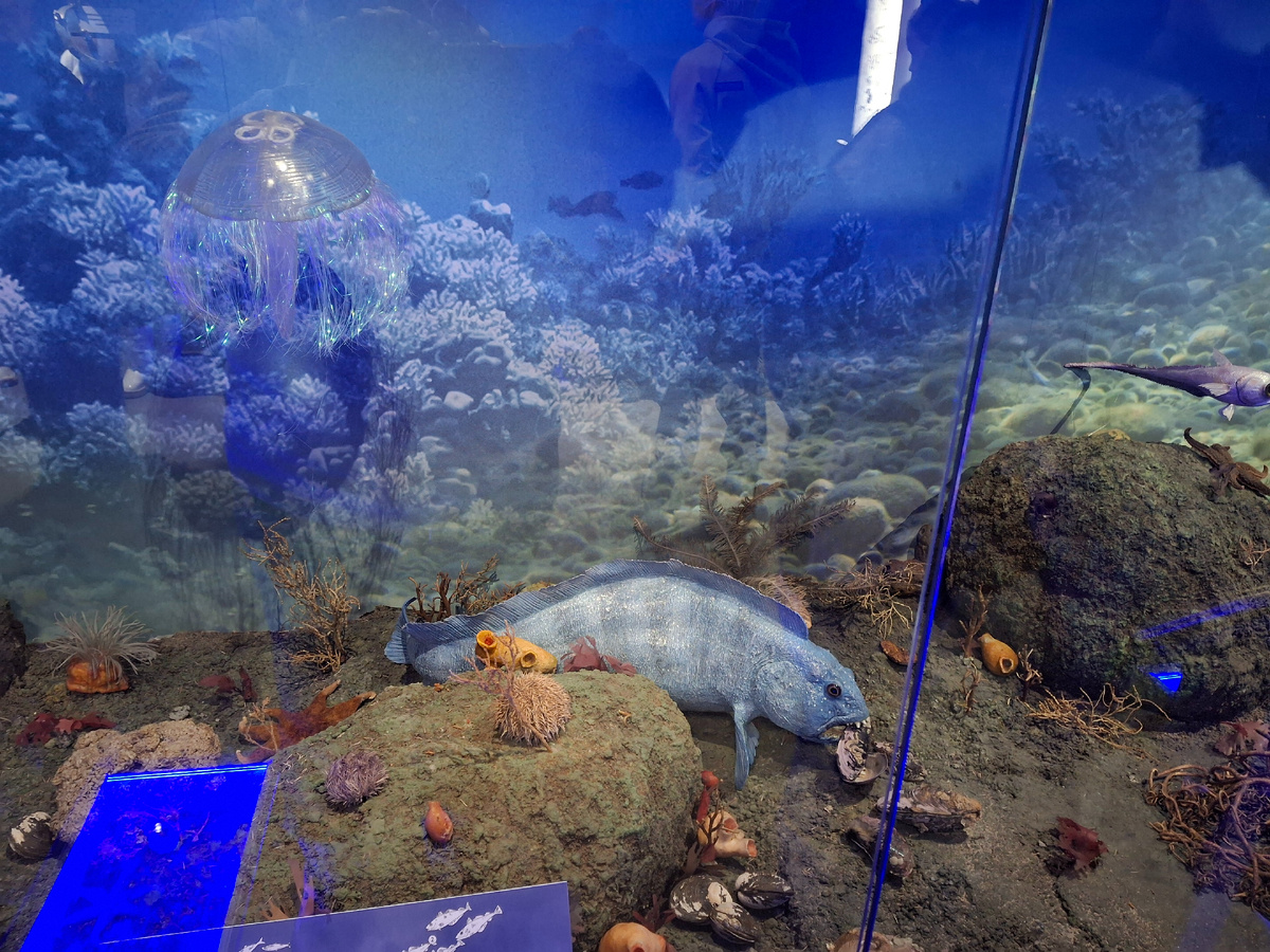 Невиданные рыбы