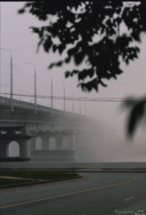 Фото: Макс Канделаки