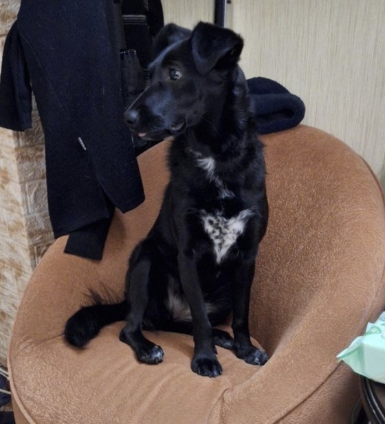 У Эли есть свои ангел 