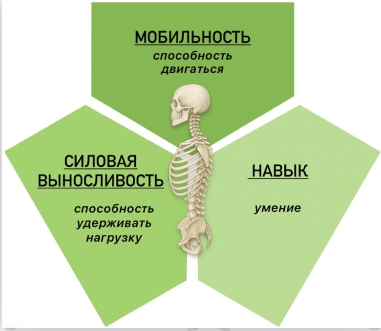 Ключевые факторы здоровой осанки