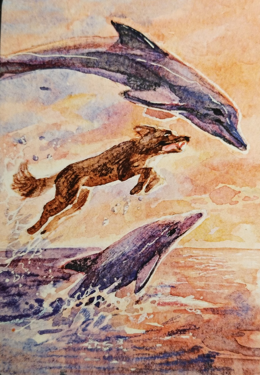 Карта из колоды МАК Рефлексия 