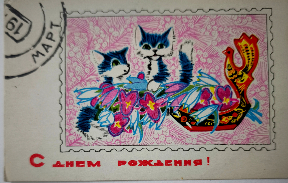 Фото 📷 автора