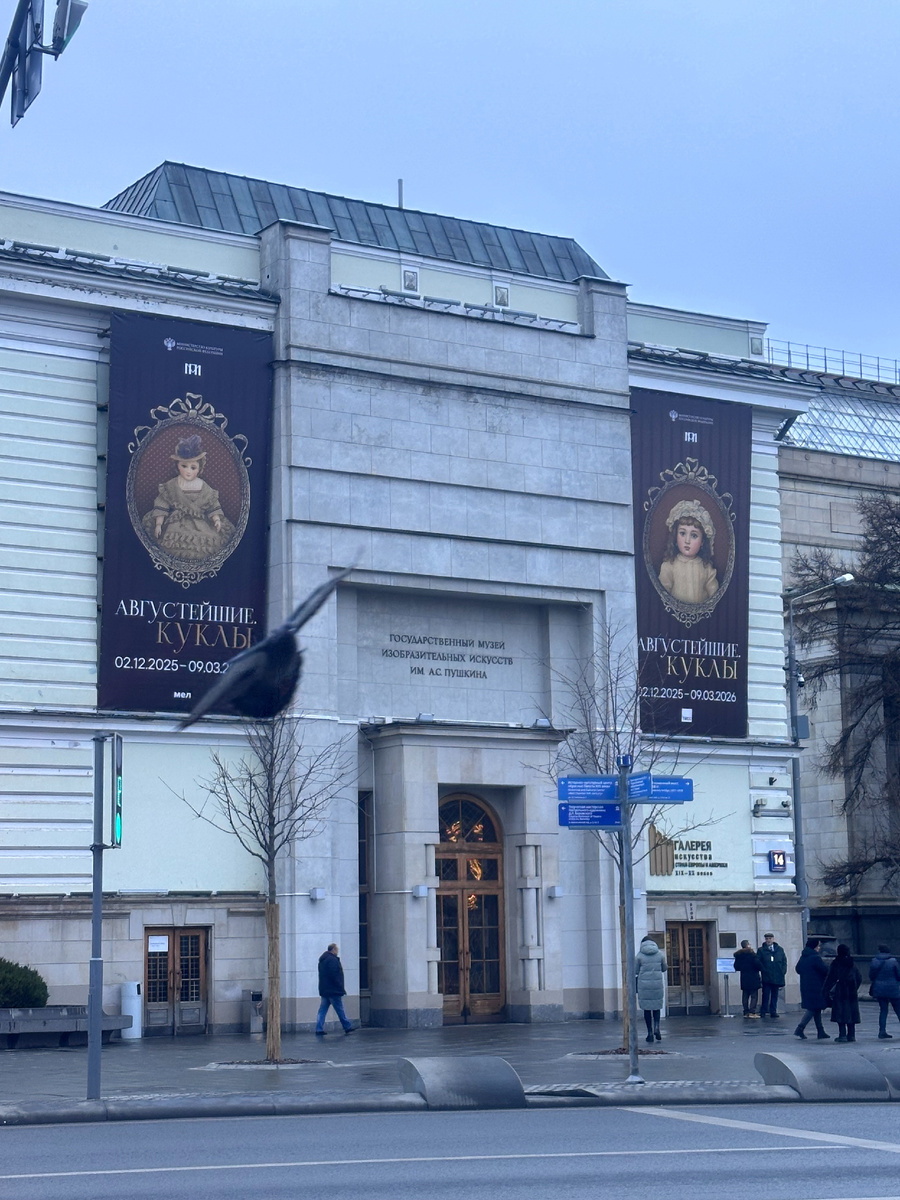 Фото: Алиса в Петербурге