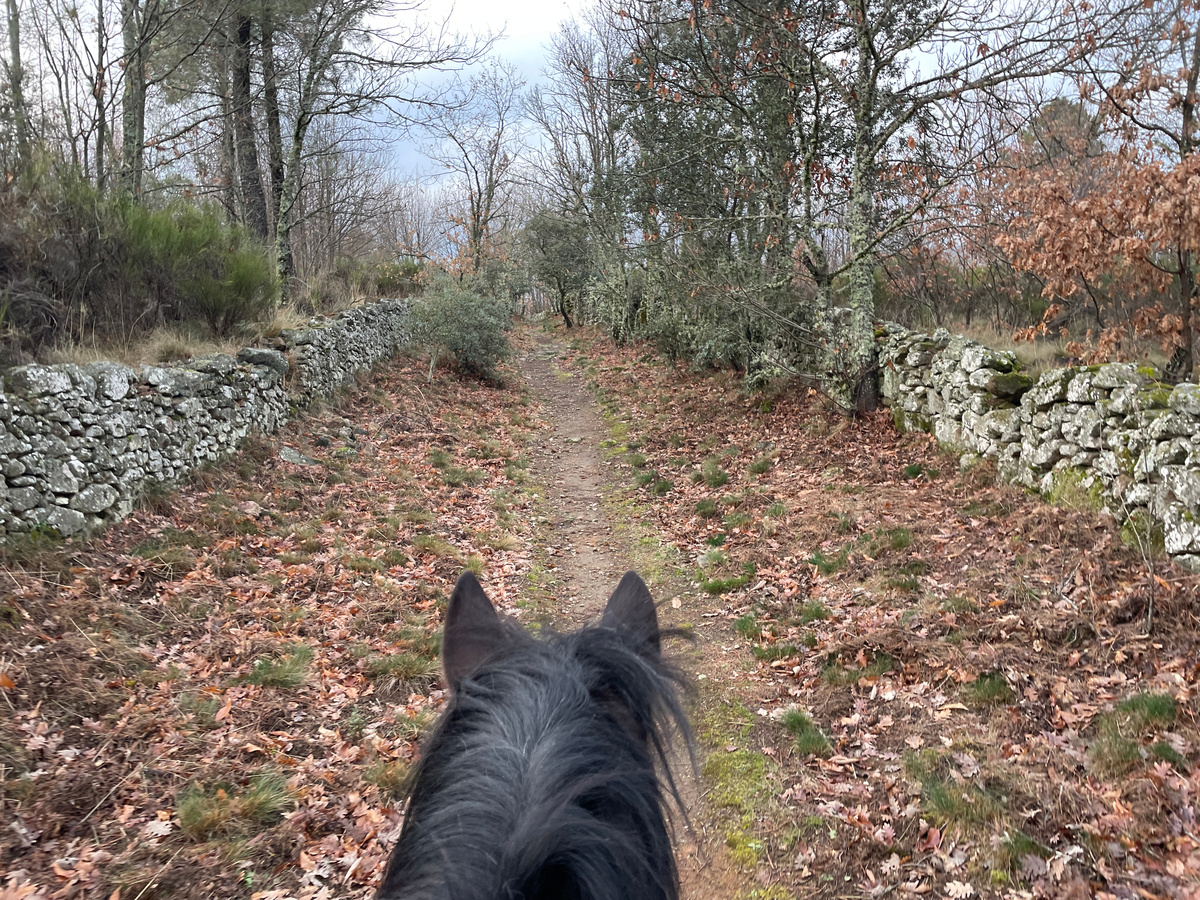 Сначала расстояние между заборами довольно широкое