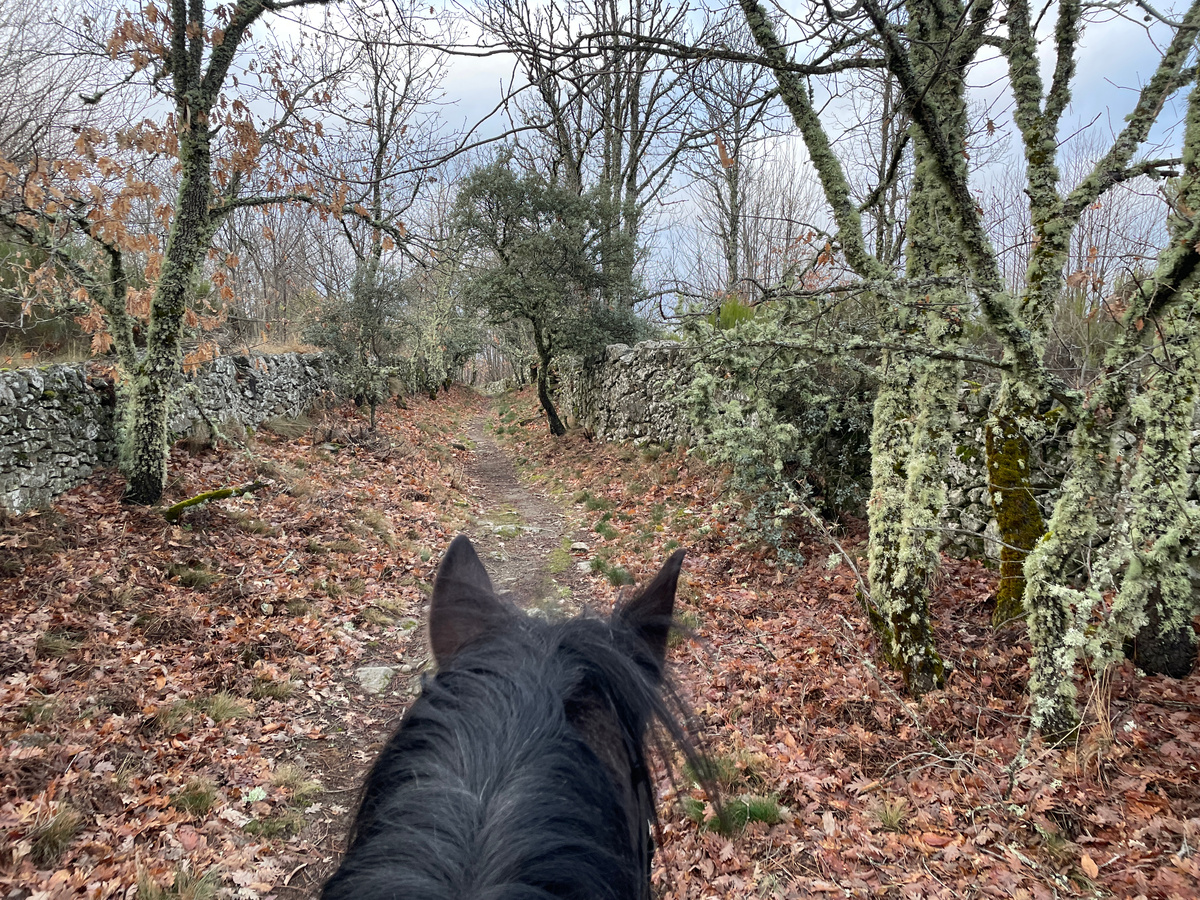Постепенно сужается