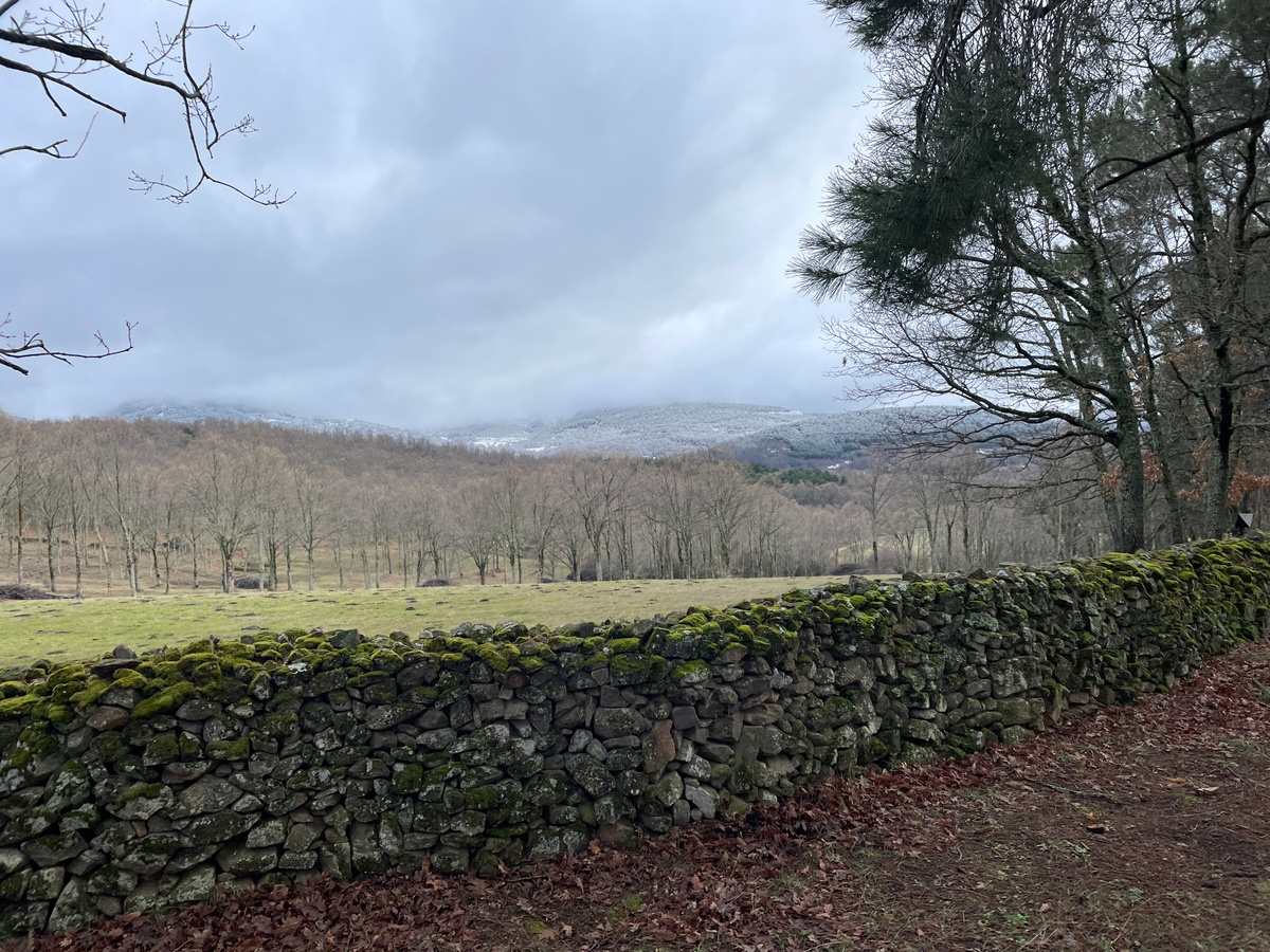 Вид на горы, которые хорошо присыпало сахарной пудрой