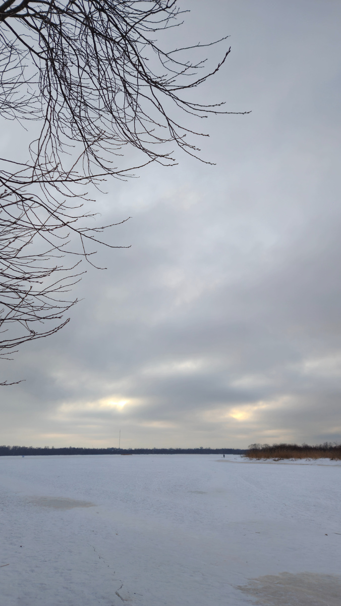 Река Глухарка. Приморский район (фотография автора).