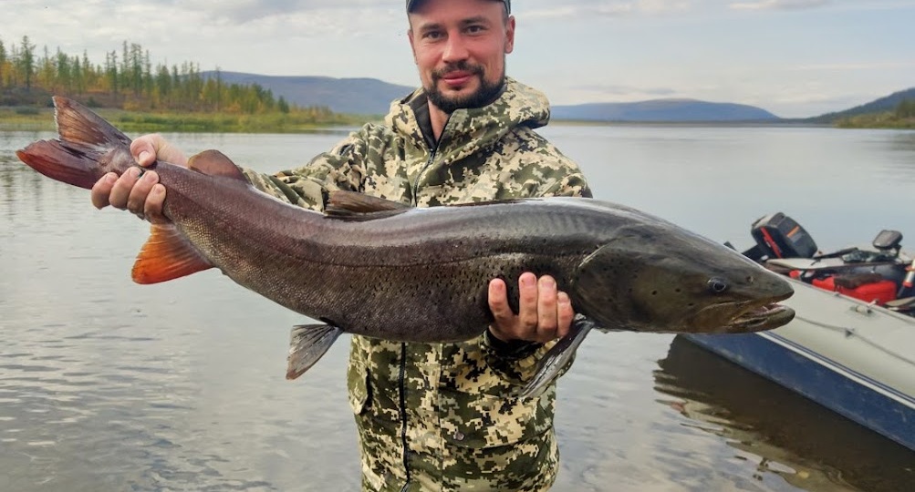 Ловля тайменя: легендарный хищник сибирских рек