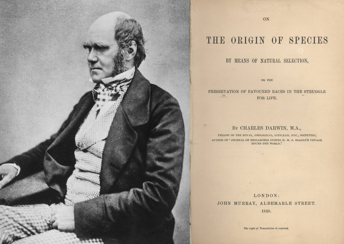 Чарльз Дарвин, 1854 г. и титульный лист книги «О происхождении видов…». Фото: взято из en.wikipedia.org