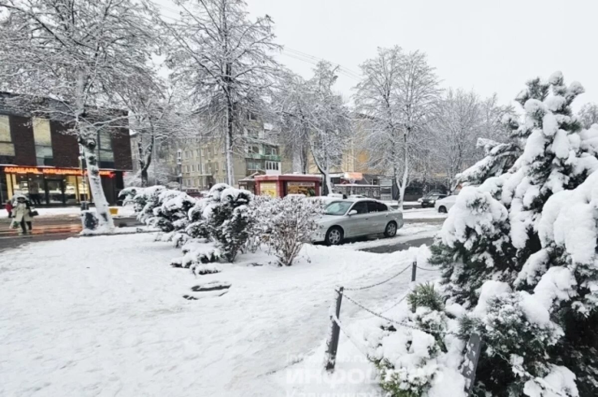    Народные приметы 23 января: что сулит день Григория Летоуказателя