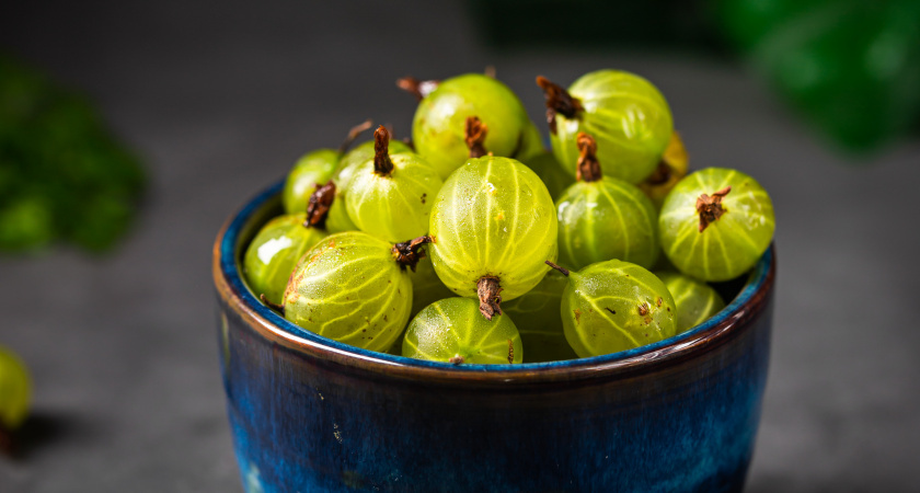    Изображение от Tatiana Goskova на Freepik