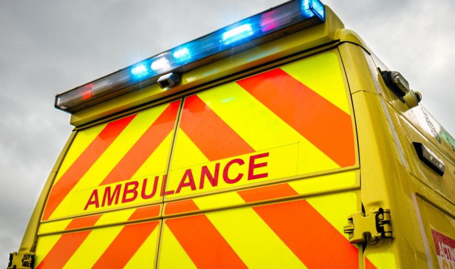    Shutterstock/FOTODOM