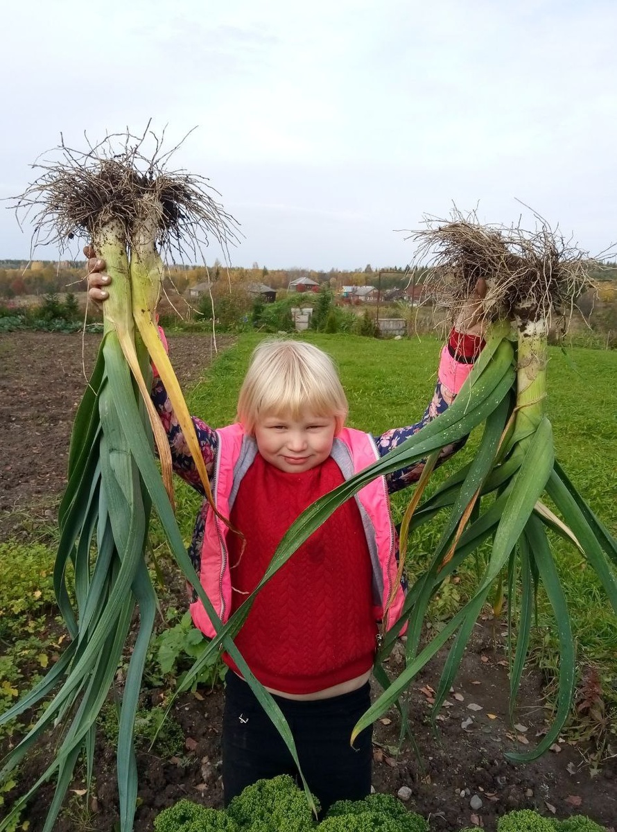 Фото Светланы Барабановой