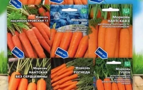 Фото: Уральское межрегиональное управление Россельхознадзора