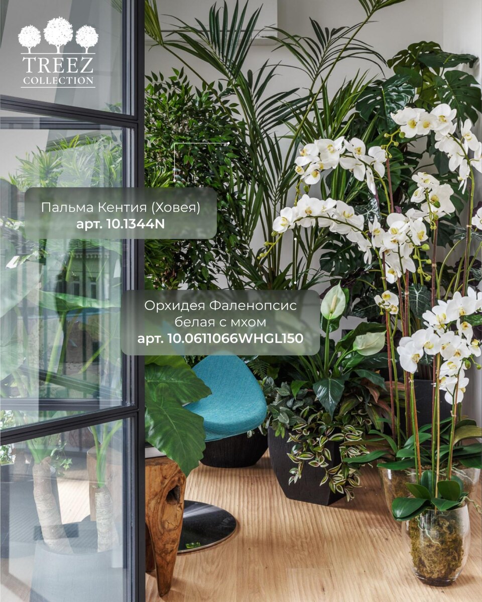 Кашпо и растения TREEZ Collection