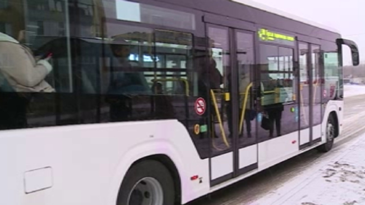    «На чистоту» в Курске проверили общественный транспорт