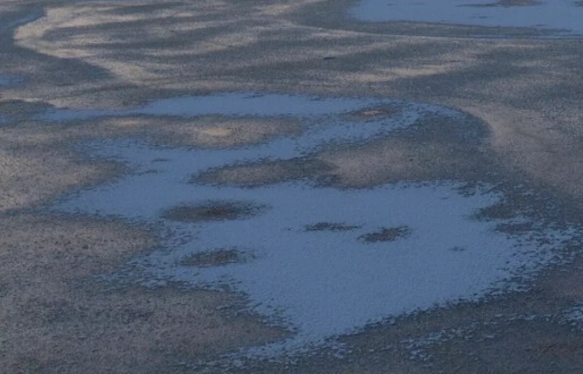    Хабаровский ветеран полиции спас троих детей, игравших на тонком льду Амура