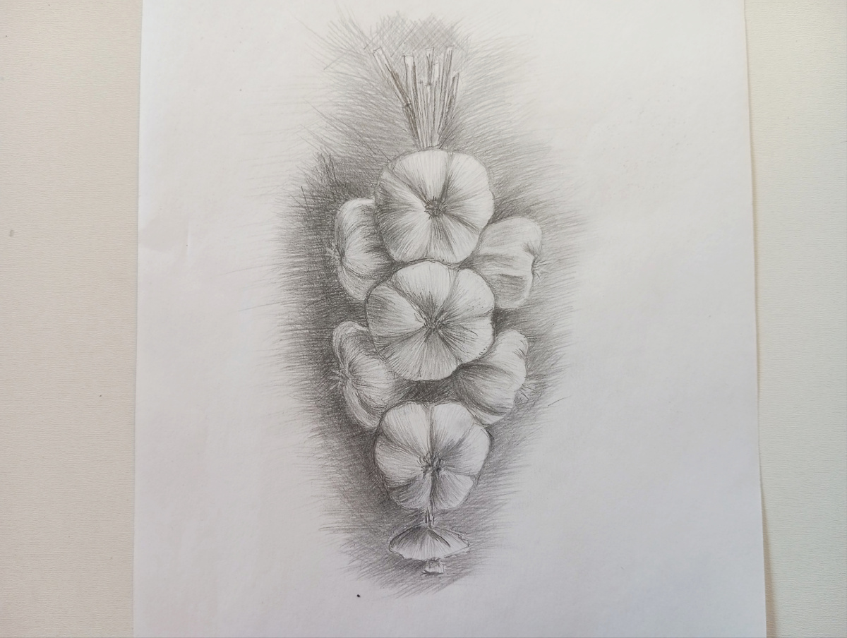 Чеснок карандашом
