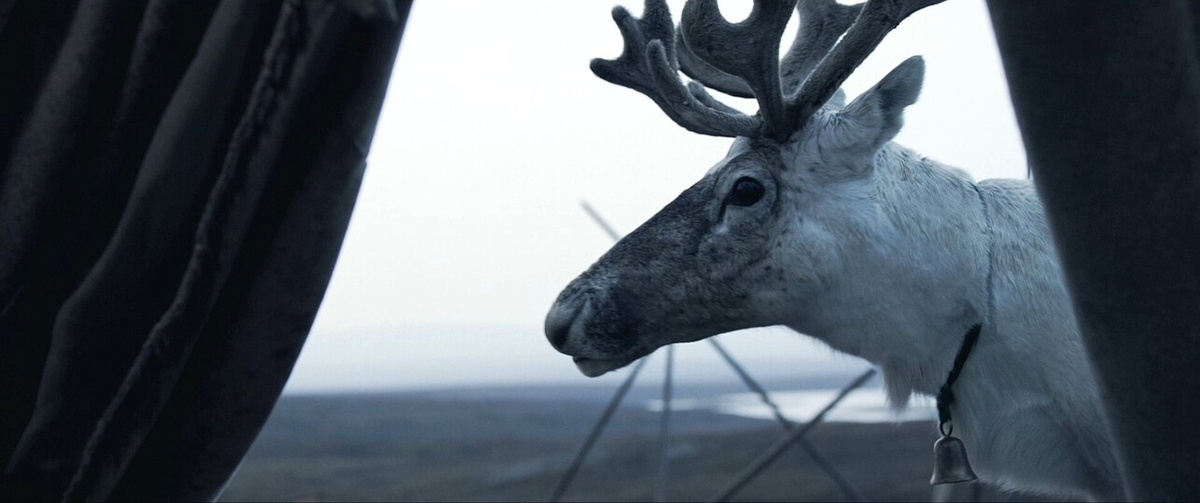     Кадр из к/ф «Цинга» (18+).