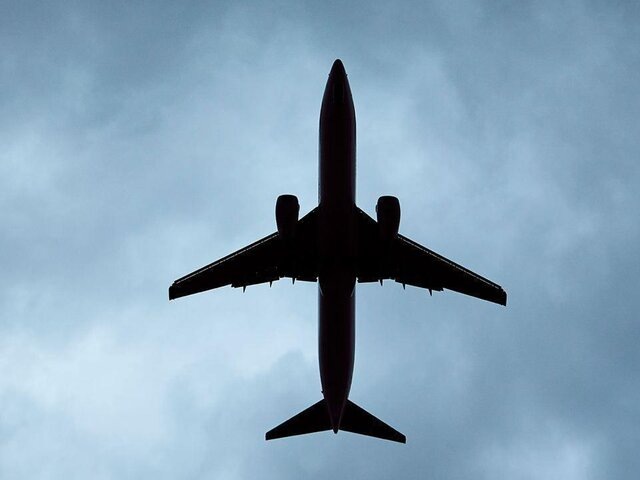    Фото: depositphotos/Chalabala