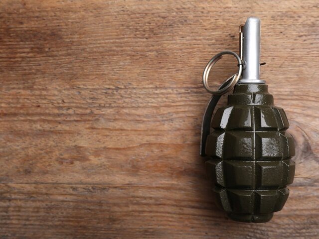    Фото: 123RF.com/liudmilachernetska