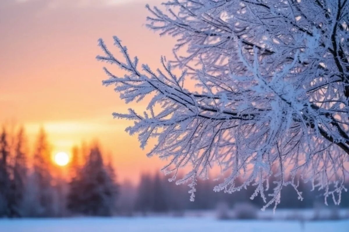    В Ленобласти объявили предупреждение о 25-градусных морозах