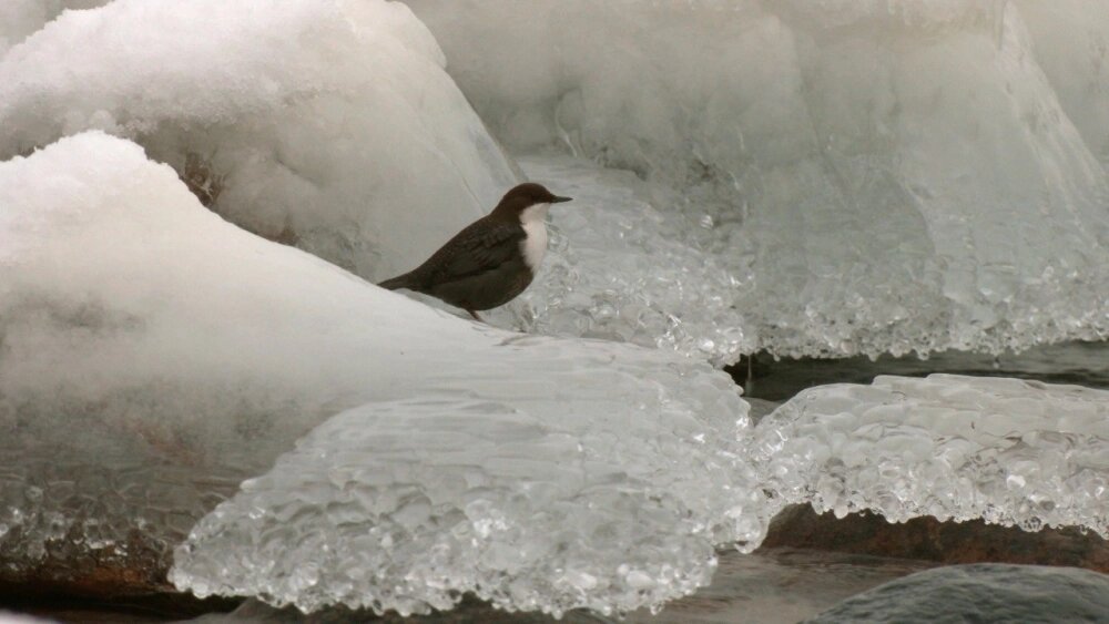   Фото: Каждой твари по паре / Павел Глазков/ Биолог Павел Глазков
