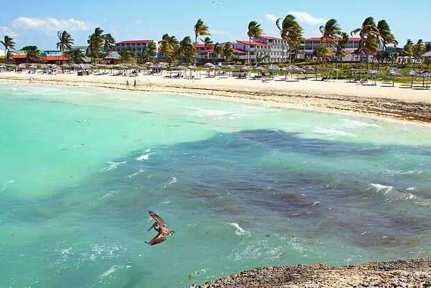    Фото: lenta.ru Евгений Иванов