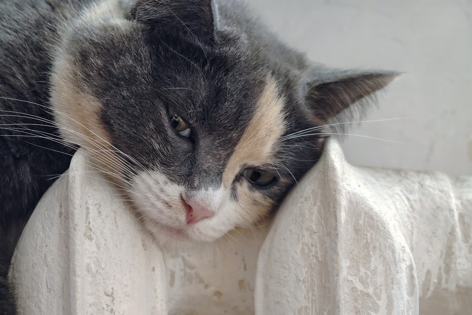    Точная причина и масштабы происшествия пока выясняются. Алексей БУЛАТОВ