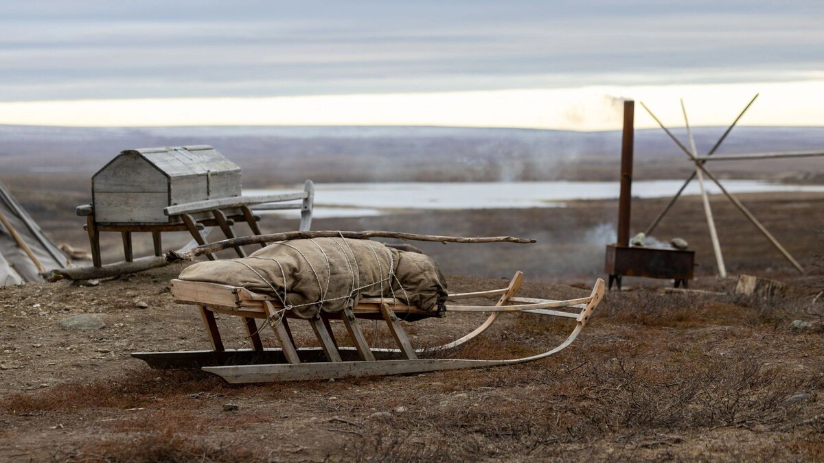    Фото: Федор Воронов / «Ямал-Медиа»