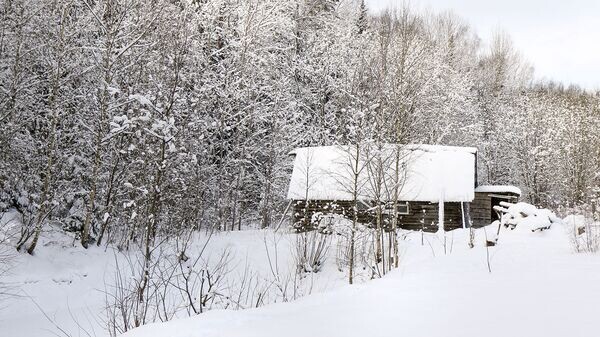    © Sputnik / Альфред Микус