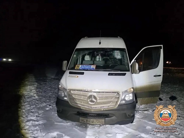    Фото ТГ-канала Госавтоинспекции РО Татьяна Пшеничная