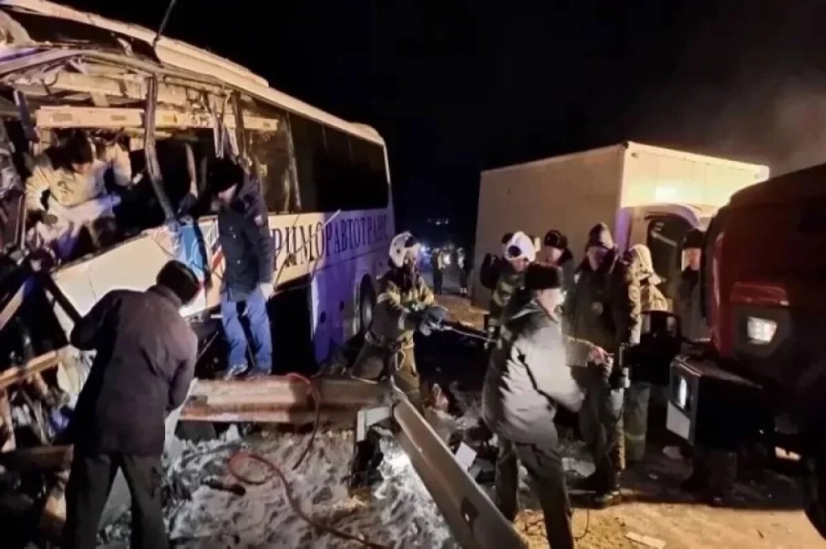    В Приморье водителя из Китая поместили в СИЗО после ДТП с автобусом