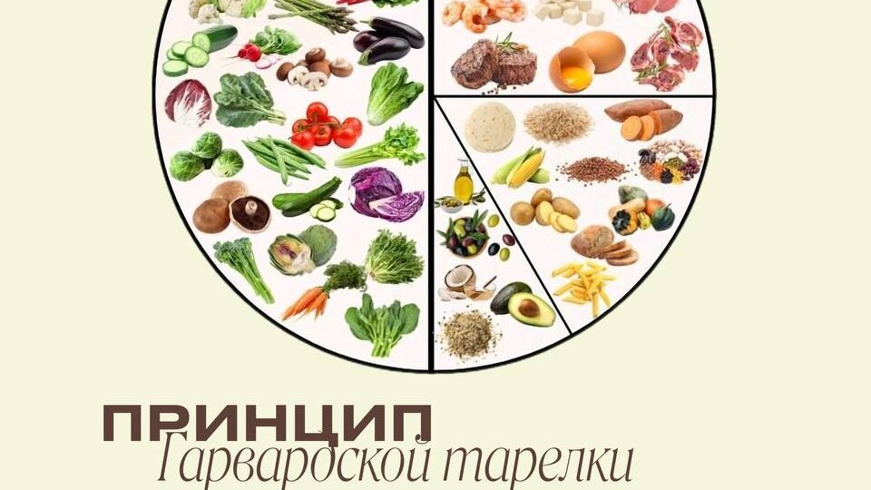 🍽️Как выглядит ваша обычная тарелка?