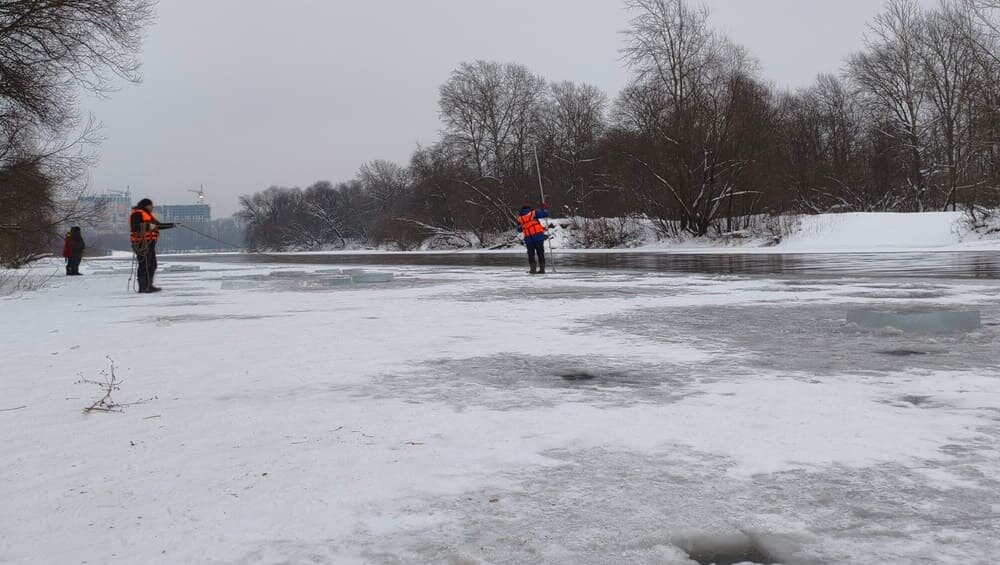    Фото: «Лиза Алерт»