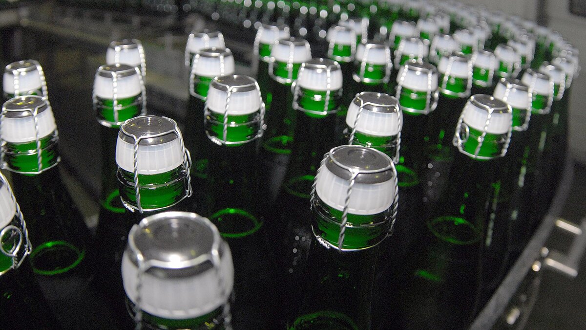    Фото: Viktor Pogontsev/globallookpress.com