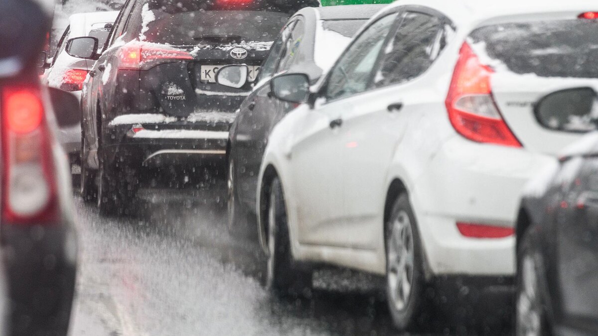    Фото: Ilya Moskovets/globallookpress.com